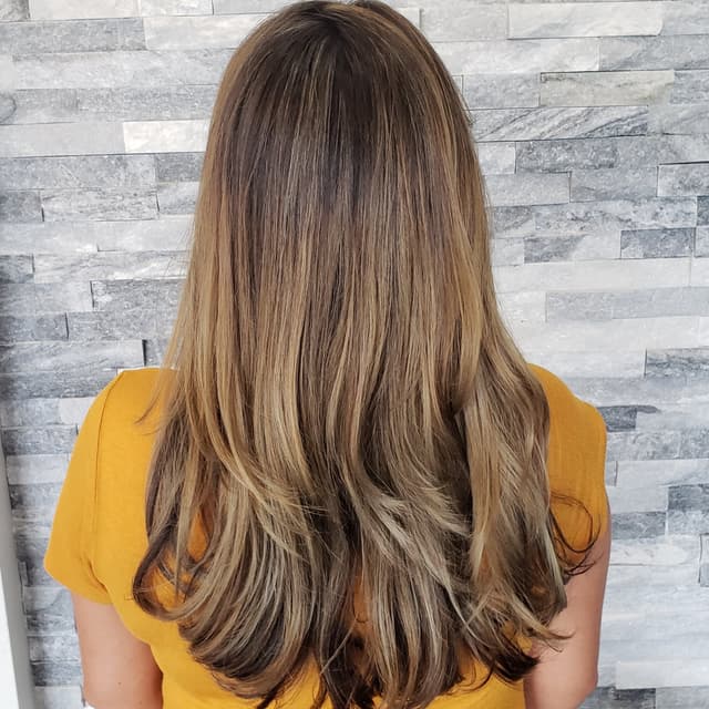 The Traditional Balayage at Shear Divination in Wesley Chapel, FL
